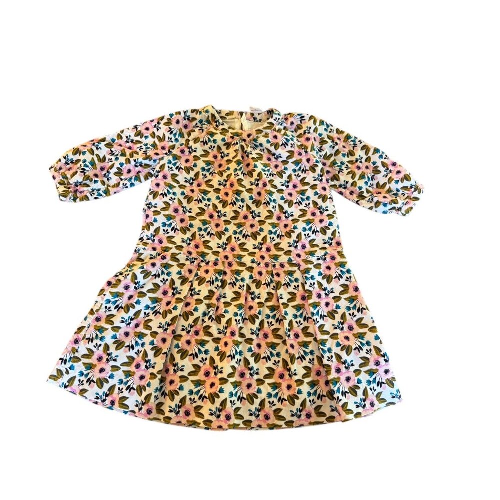 Egg by Susan Lazar Girls Floral Corduroy Dress Pink Blueโ Cream Size 5 Years